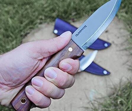 Find out if the Condor Bushlore Knife is the best bushcraft knife