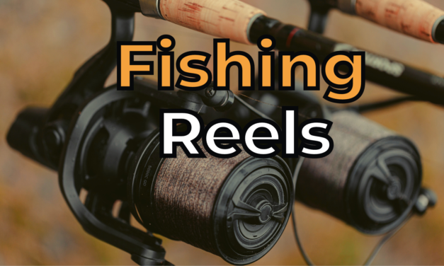 5 Best Fishing Reels in 2021